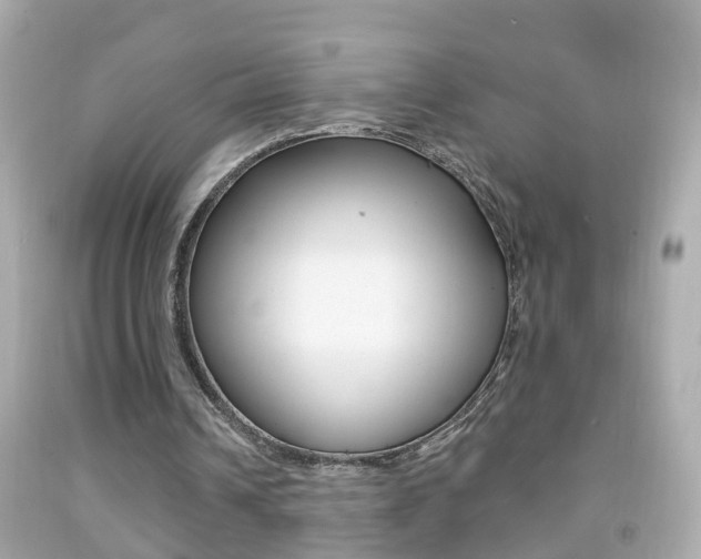 X0000092040242200709121010