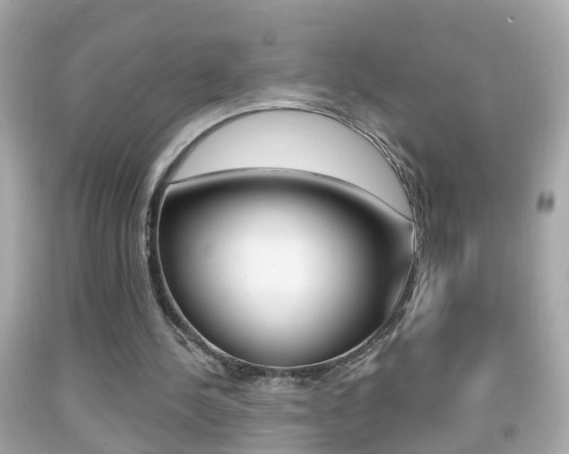 X0000092040244200709121010