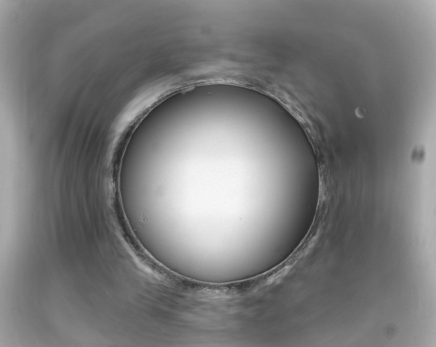 X0000092040245200709121010