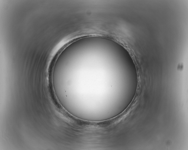 X0000092040246200709121010