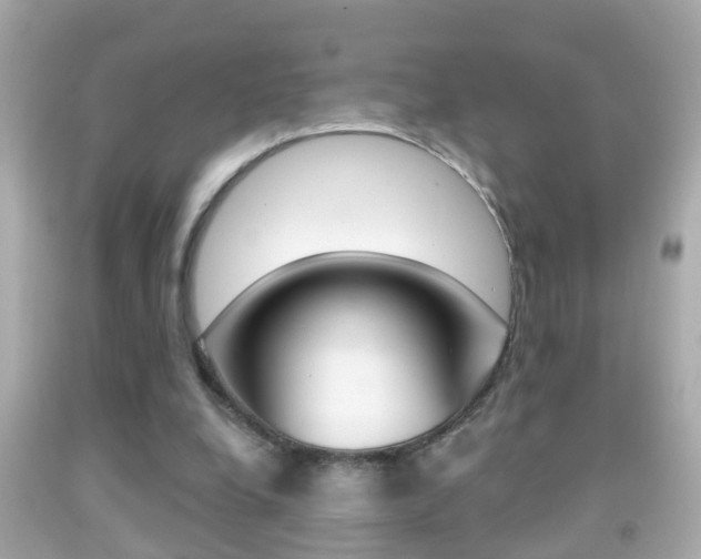 X0000092040248200709121010