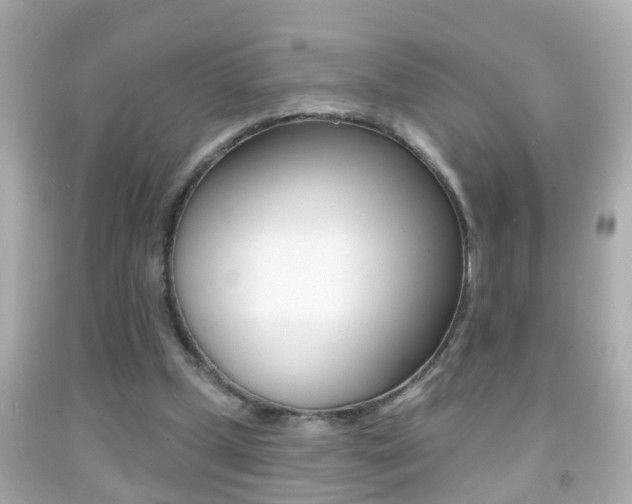 X0000092040249200709121010