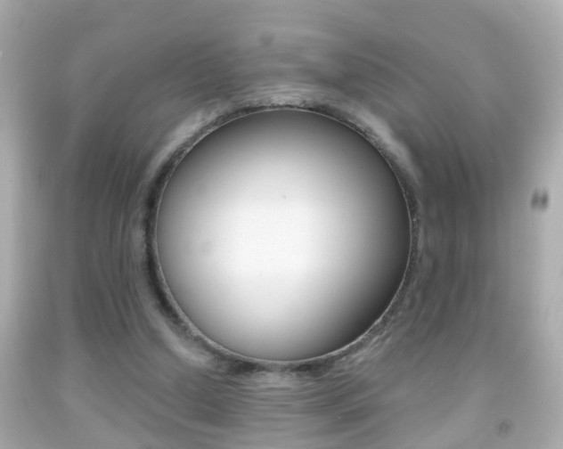 X0000092040250200709121010