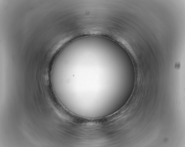 X0000092040251200709121011