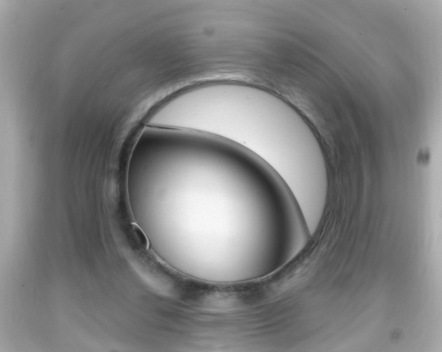 X0000092040252200709121011