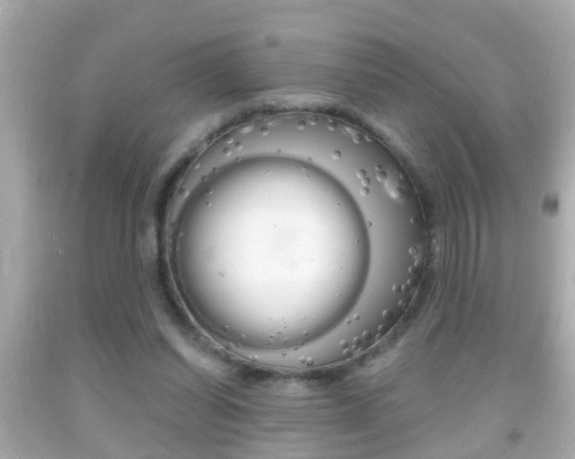 X0000092040254200709121011