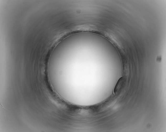 X0000092040255200709121011