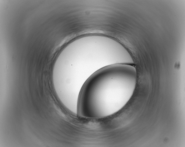 X0000092040256200709121011