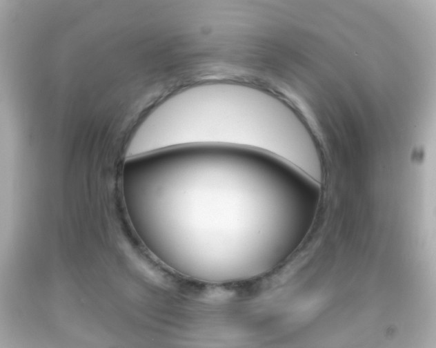 X0000092040257200709121011