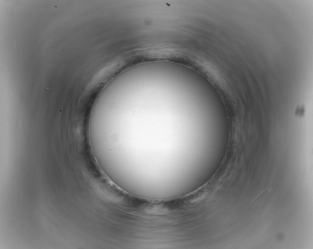 X0000092040258200709121011
