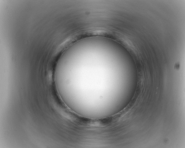 X0000092040262200709121011