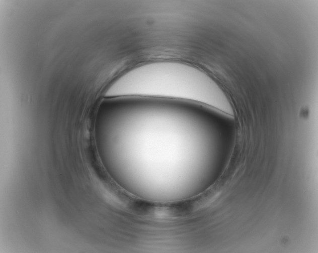 X0000092040264200709121011