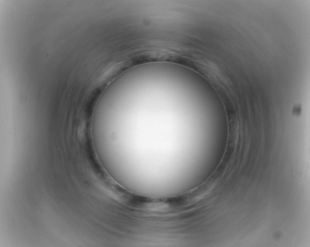 X0000092040266200709121011