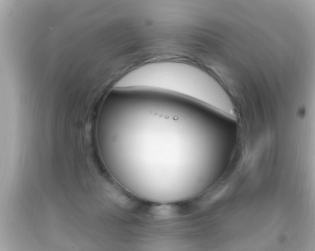 X0000092040269200709121011