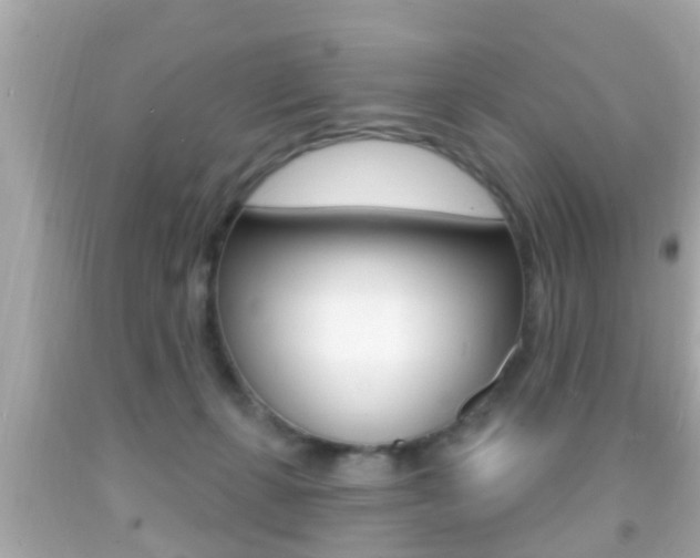 X0000092040271200709121011