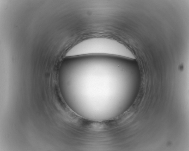 X0000092040272200709121011