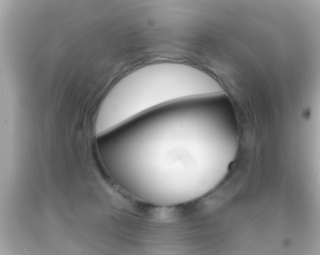 X0000092040273200709121011