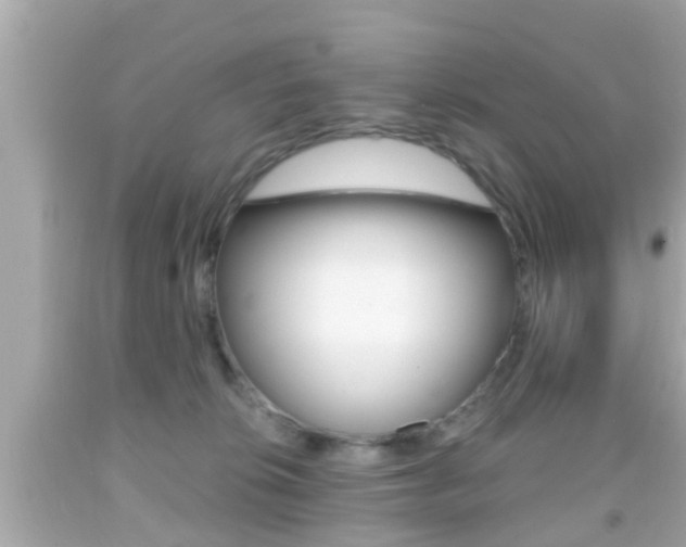 X0000092040276200709121011