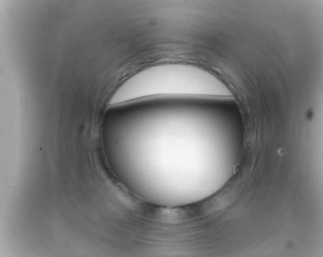 X0000092040277200709121011