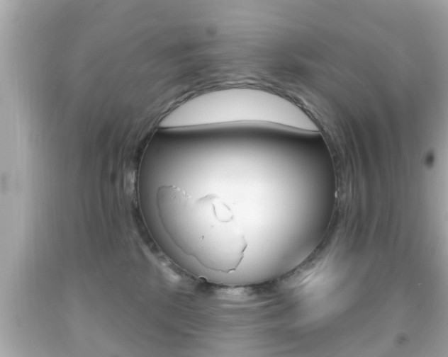 X0000092040281200709121011