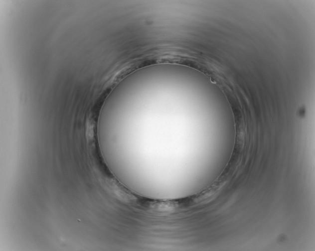 X0000092040282200709121011