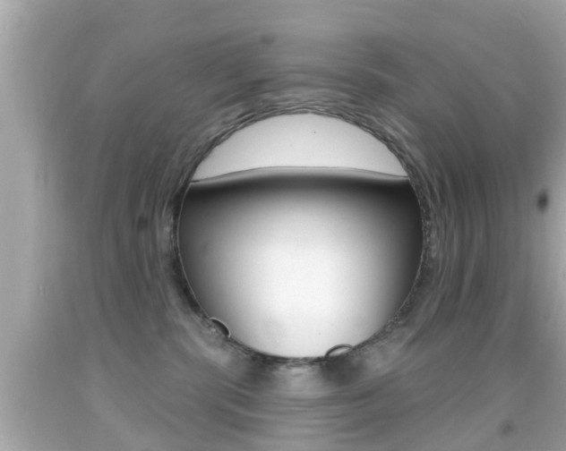 X0000092040283200709121011