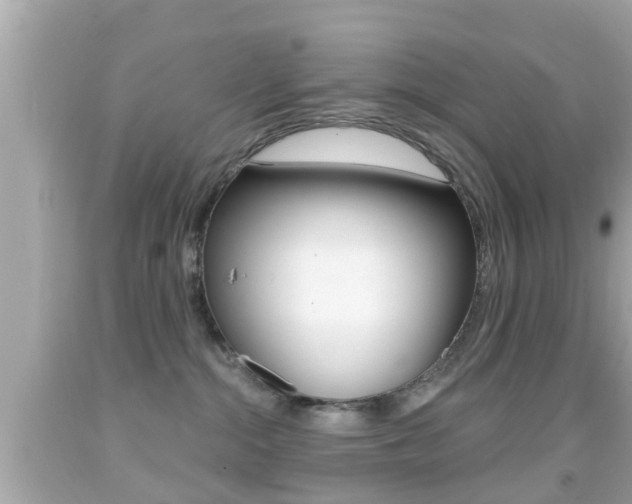 X0000092040284200709121011
