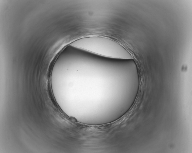 X0000092040290200709121010