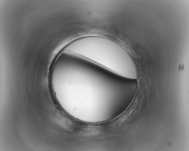 X0000092040292200709121010