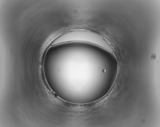 X0000092040293200709121010