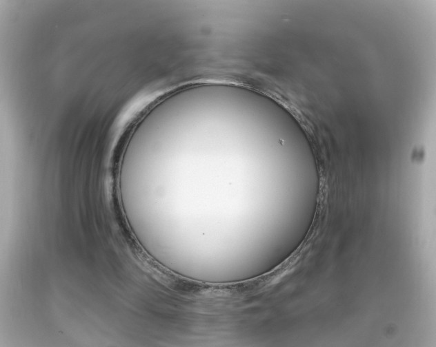 X0000092040294200709121010