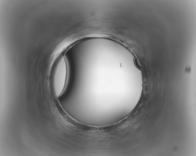 X0000092040296200709121010