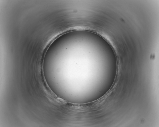 X0000092040297200709121010