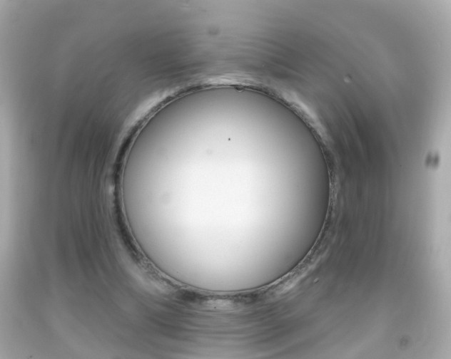 X0000092040298200709121010