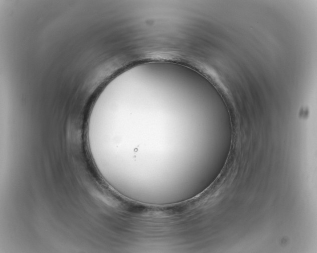 X0000092040299200709121010