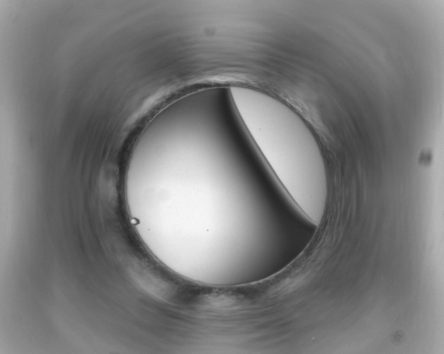 X0000092040300200709121010