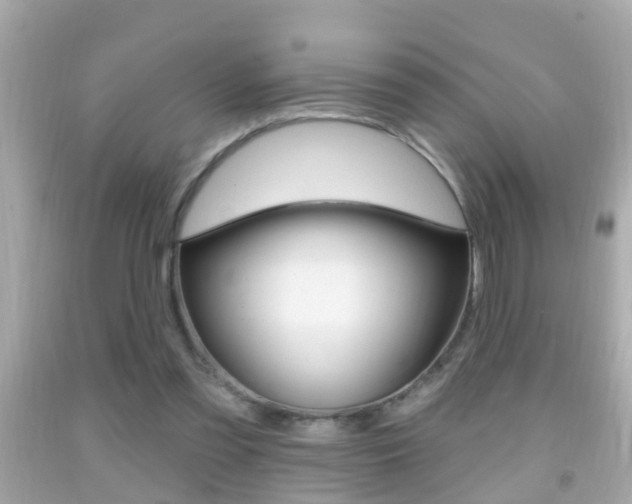 X0000092040301200709121010