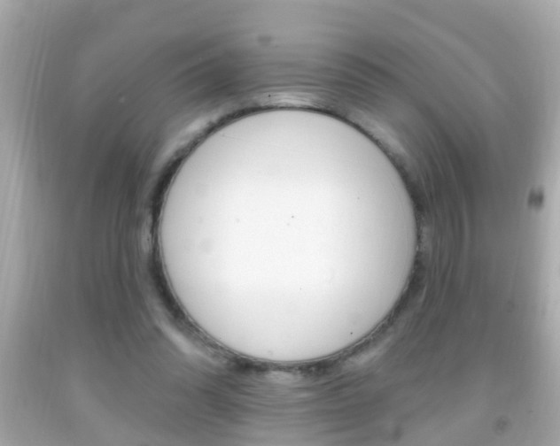 X0000092040302200709121010