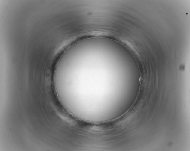 X0000092040303200709121010