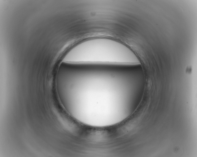 X0000092040304200709121010