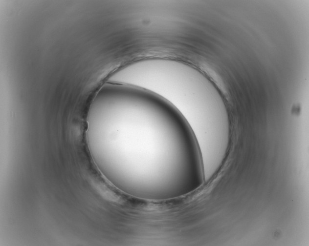 X0000092040305200709121010