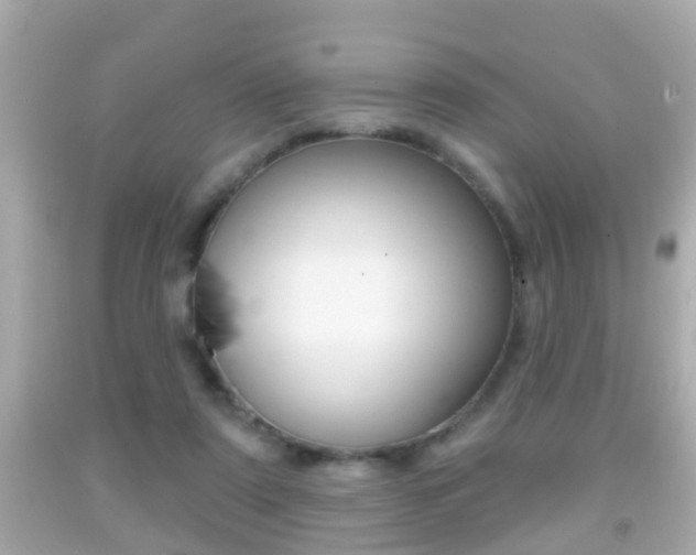 X0000092040307200709121010