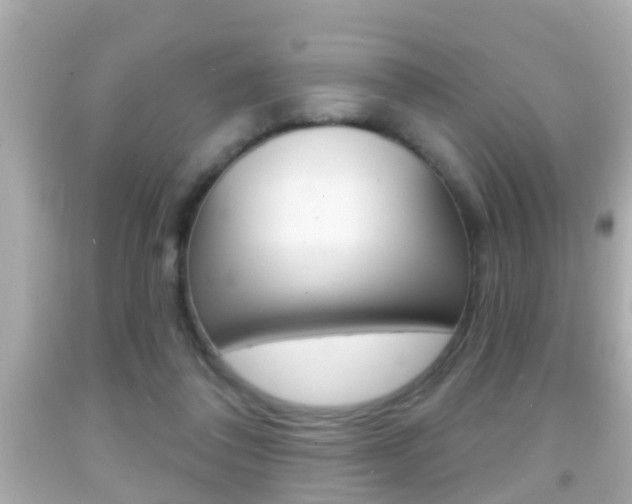 X0000092040308200709121010