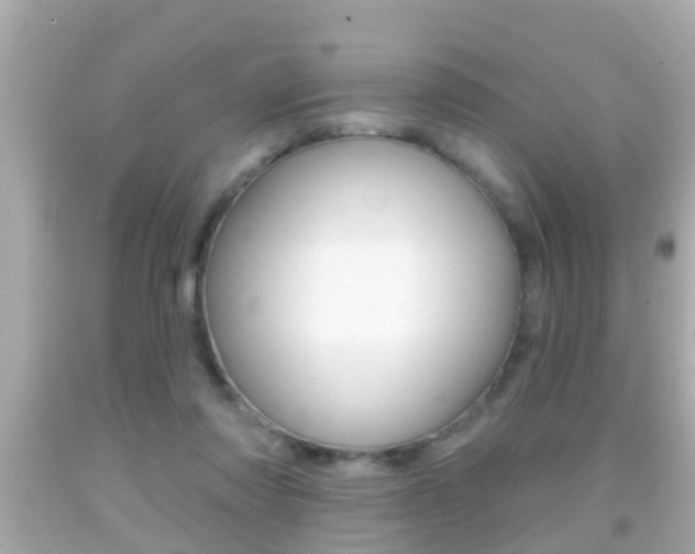 X0000092040310200709121010