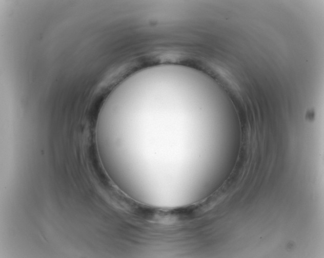 X0000092040311200709121010