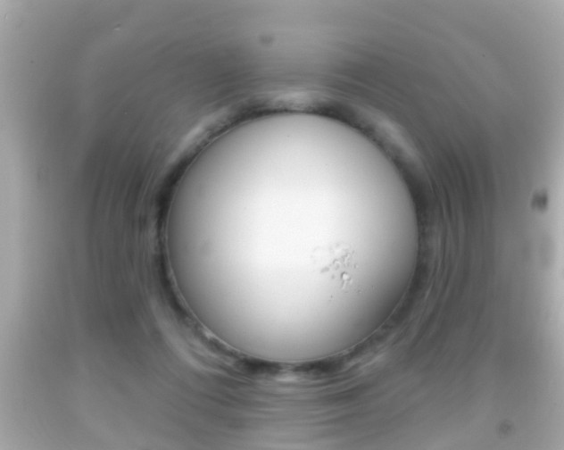 X0000092040312200709121010