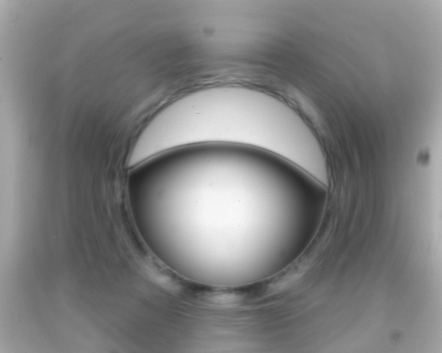 X0000092040313200709121010