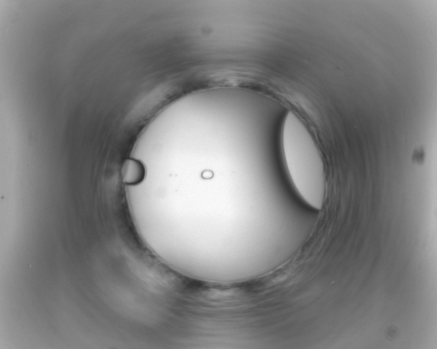 X0000092040314200709121010