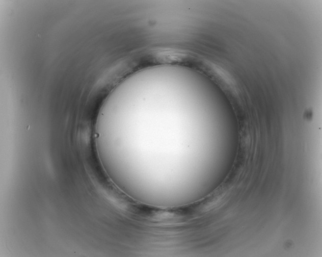 X0000092040315200709121010