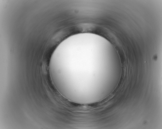 X0000092040316200709121010